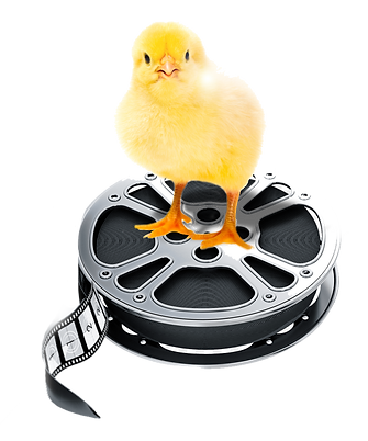 Chick Flick copy.png