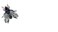 fly.gif