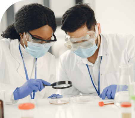 Mesothelioma Cancer