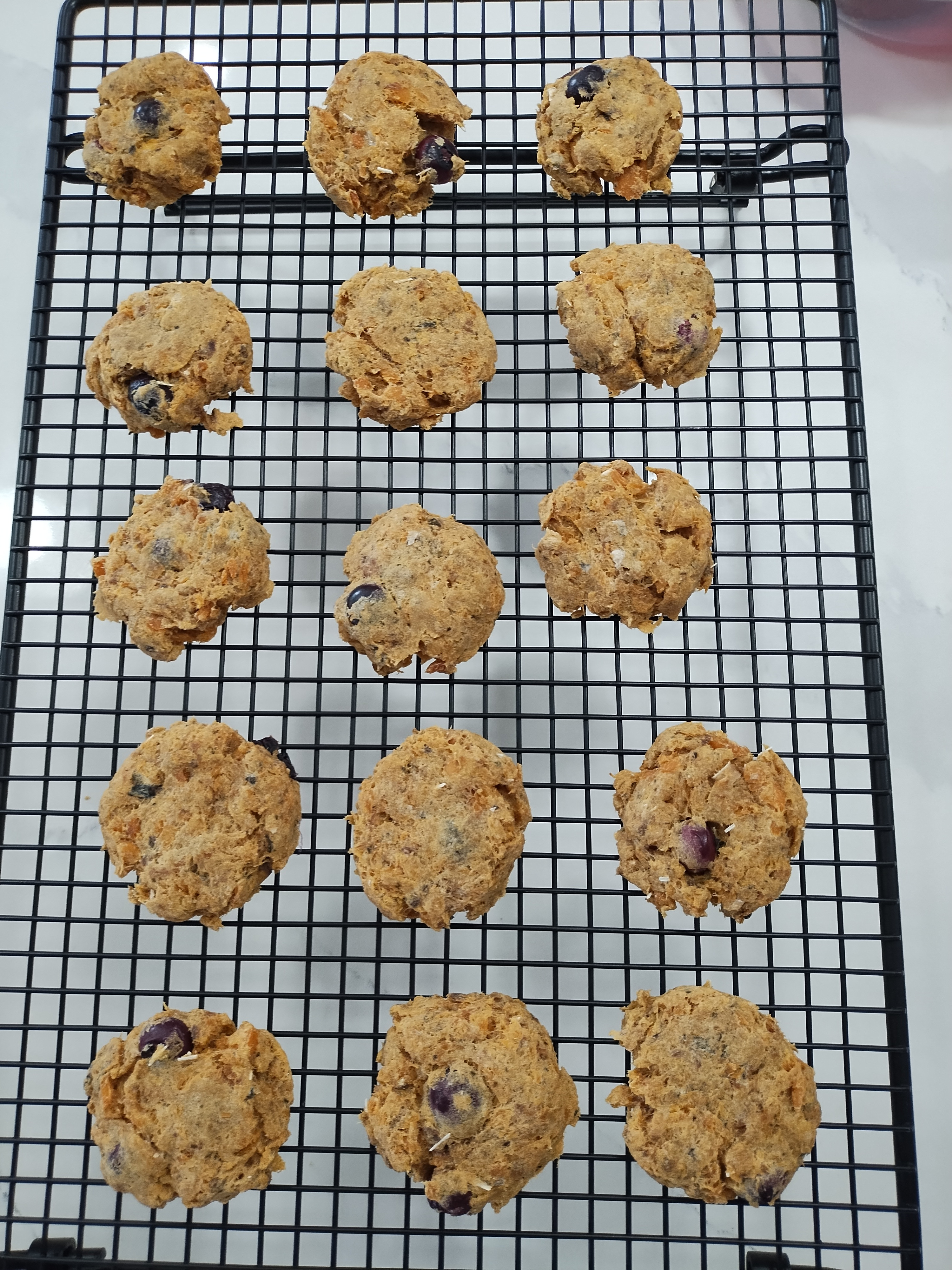 Salmon and blueberries treats