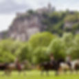 web21-180611112254-rando-equestre-a-rocamadour-ate-lot-bob-norris-640x640.jpg