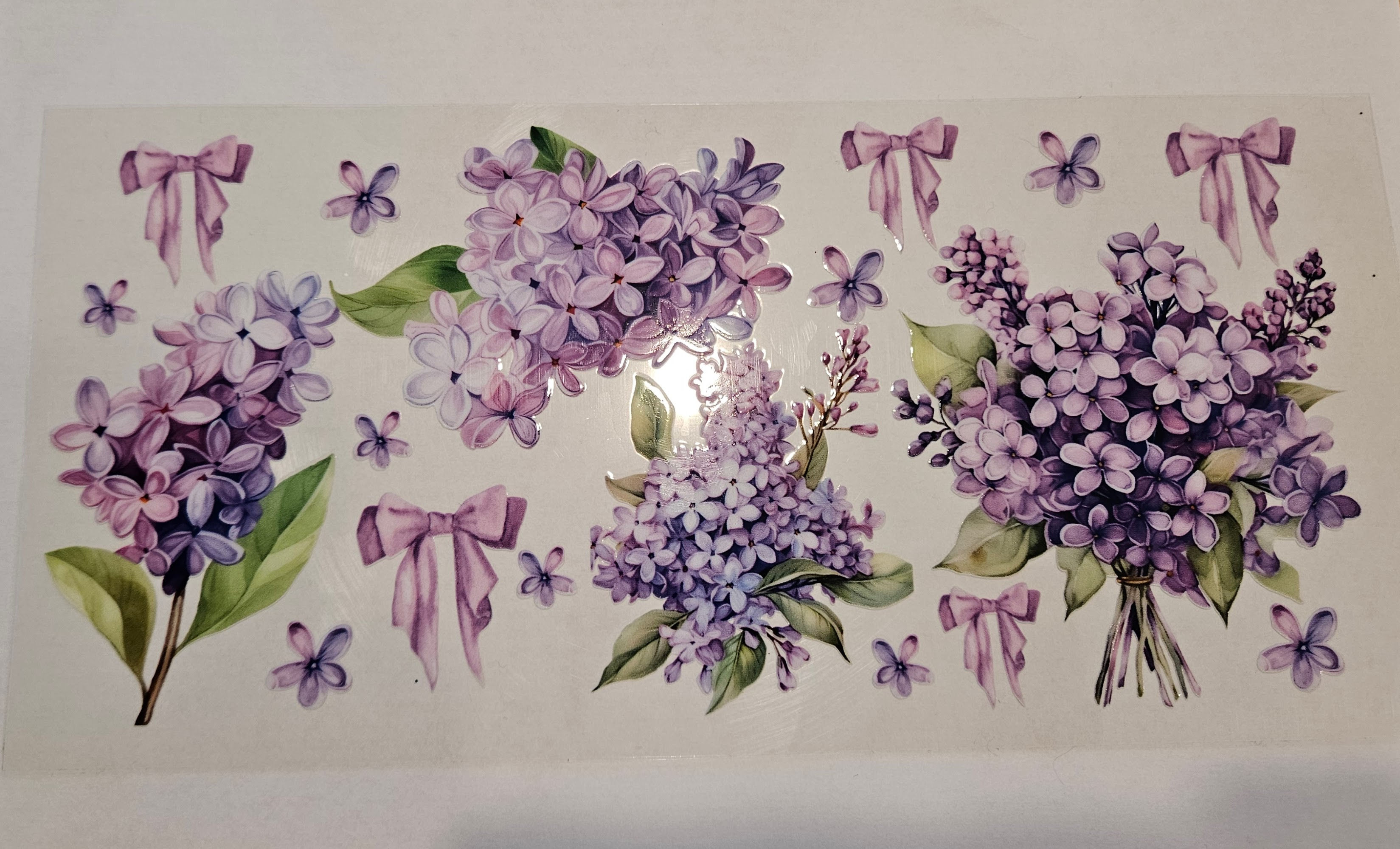 Nature - Purple Flowers