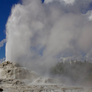 Yellowstone