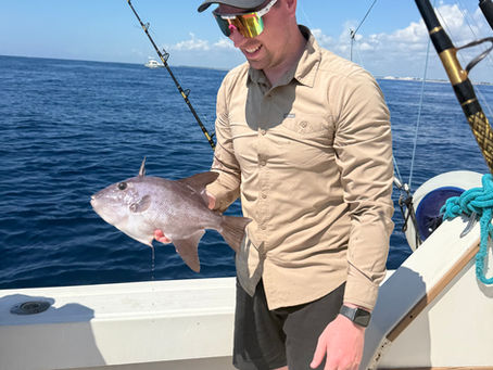 Tight Lines in Puerto Morelos
