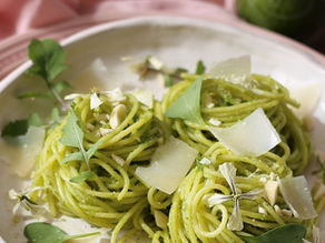 Pesto radis & roquette