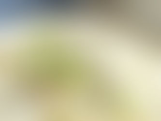 Velouté glacé fenouil & amandes