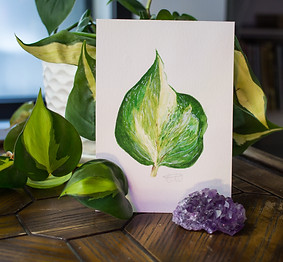 An original watercolour painting of a manjula pothos leaf