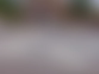 Etapa 11: De Winslow, AZ a Williams, AZ