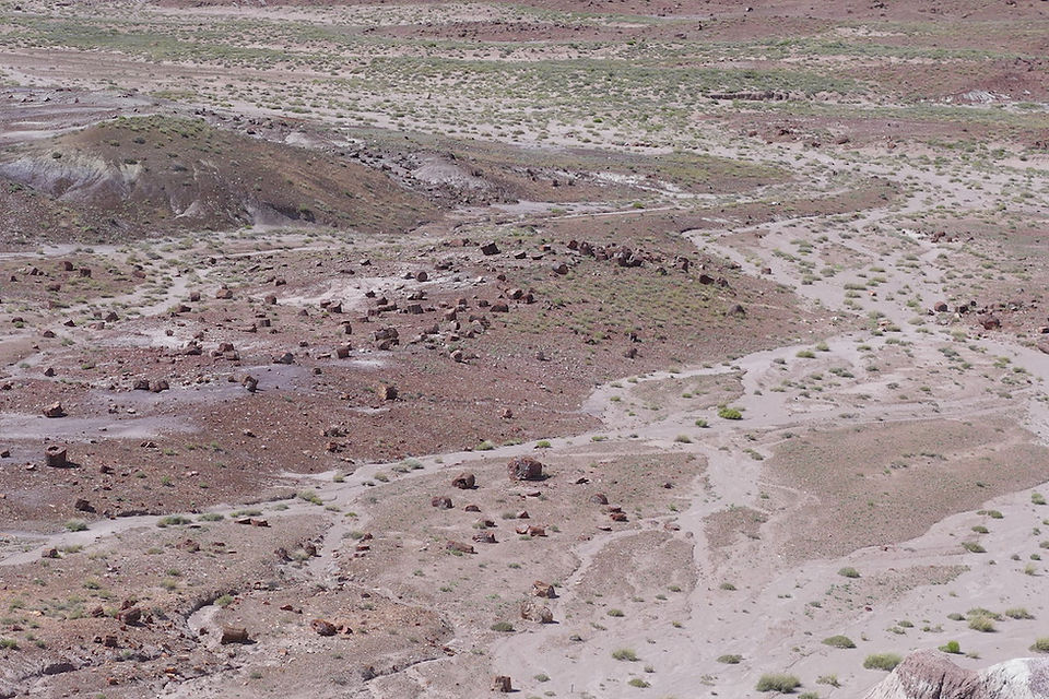 Petrified Forest National Park, AZ