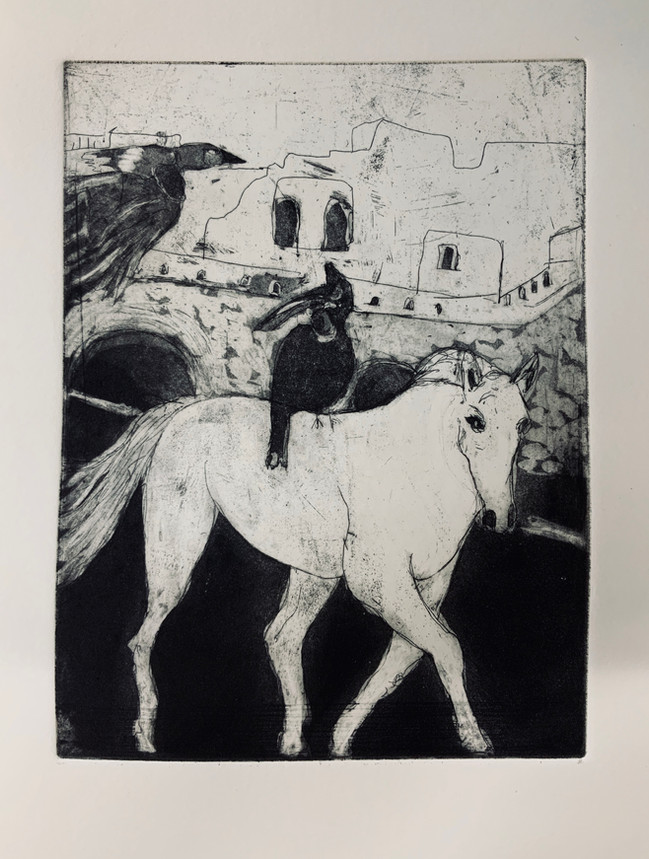 When A White Horse is Not A Horse