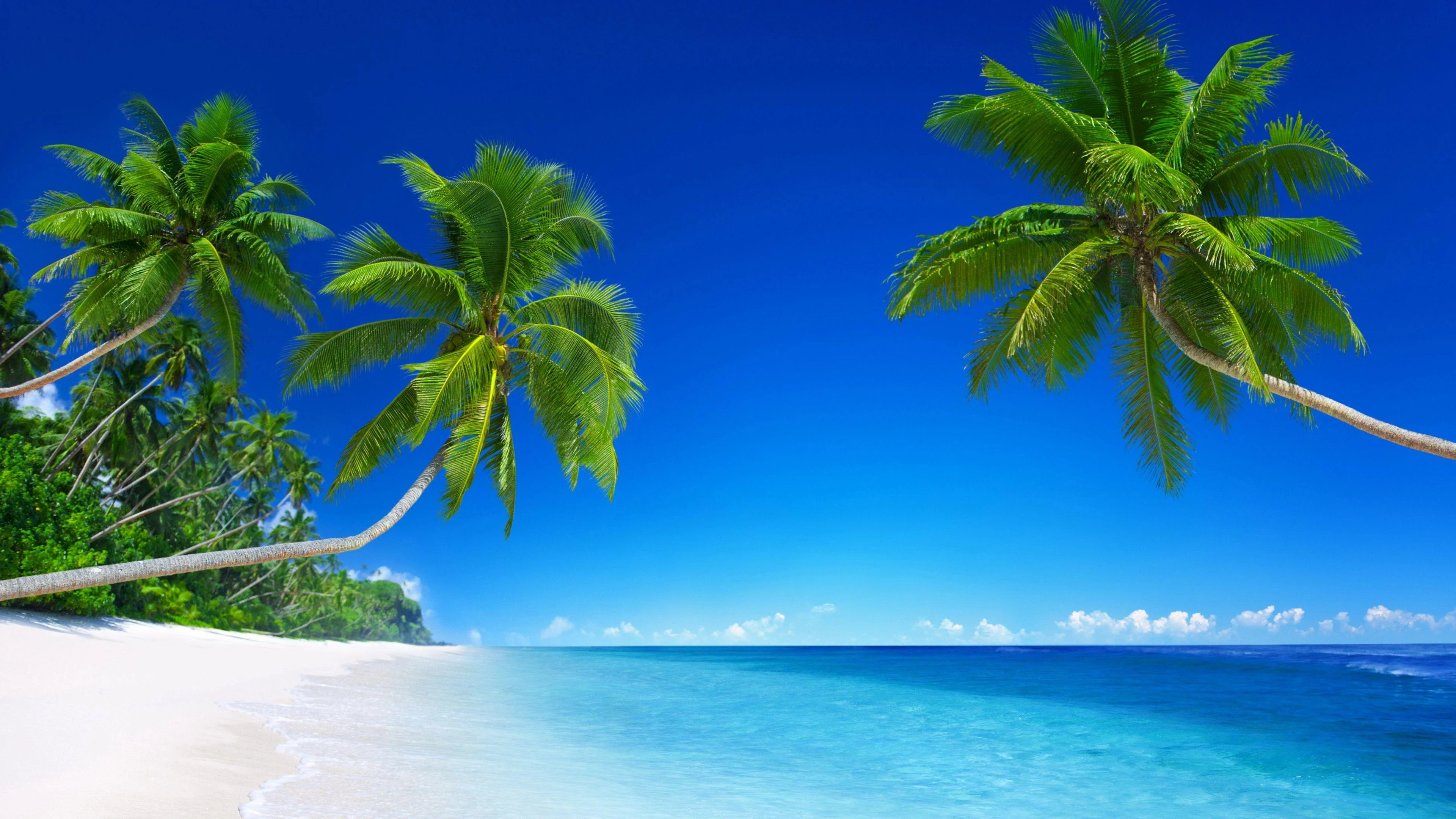 wp4925260.webp