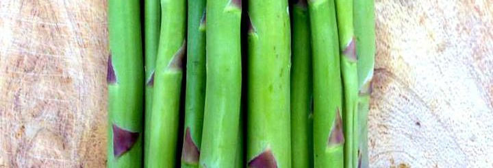 Asparagus4