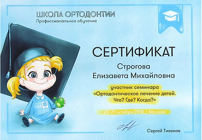 Строгова Елизавета Михайловна Сертификат