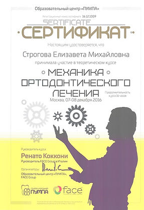 Строгова Елизавета Михайловна Сертификат