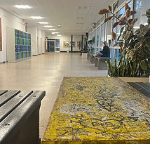 WhatsApp Image 2025-09-25 at 14.27.57 (1).jpeg