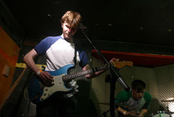 Battery Hens