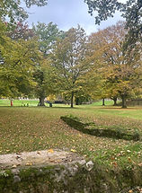 WhatsApp Image 2025-10-12 at 17.26.38.jpeg