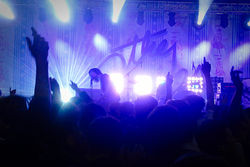 The Cribs
