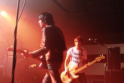 The Cribs