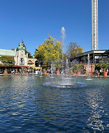 WhatsApp Image 2025-09-28 at 16.56.29 (2).jpeg