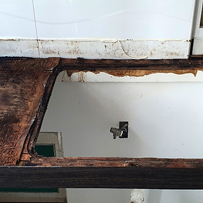 ROTTED CABINET.JPG