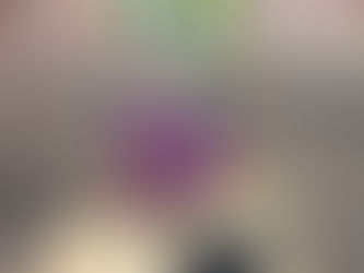 MCG Ceramics Students Showcase Work at Phipps Conservatory’s Orchid and Tropical Bonsai Show