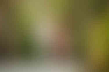 Couple walking holding hands in Tulum photoshoot