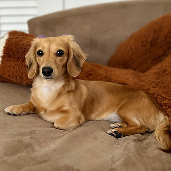 WhatsApp Image 2023-10-07 at 12.56.15 PM.jpeg