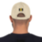 Thumbnail: HARVEST REGARDLESS Distressed Dad Hat