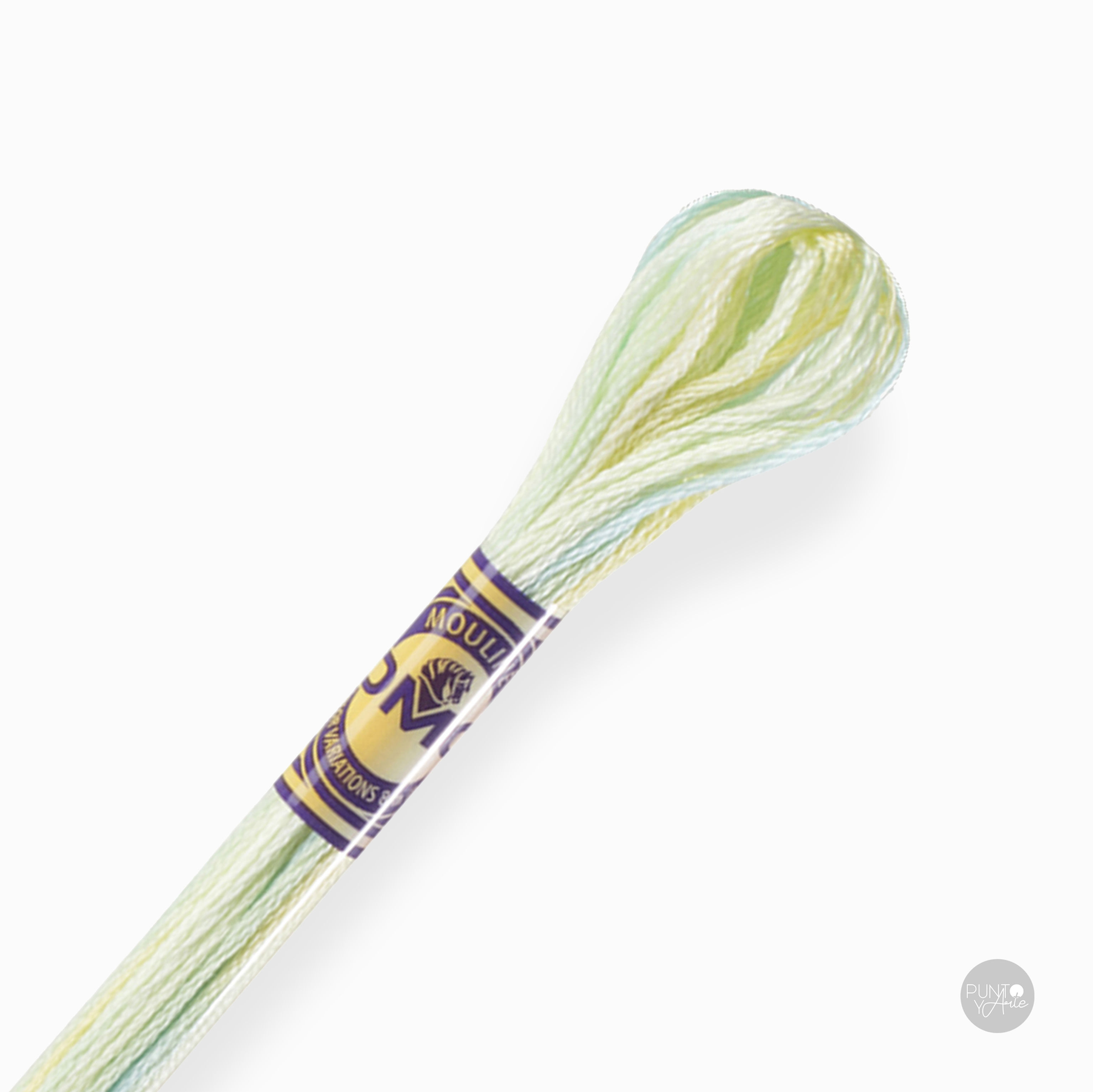 4060 Fil à Broder DMC Mouline Color Variation