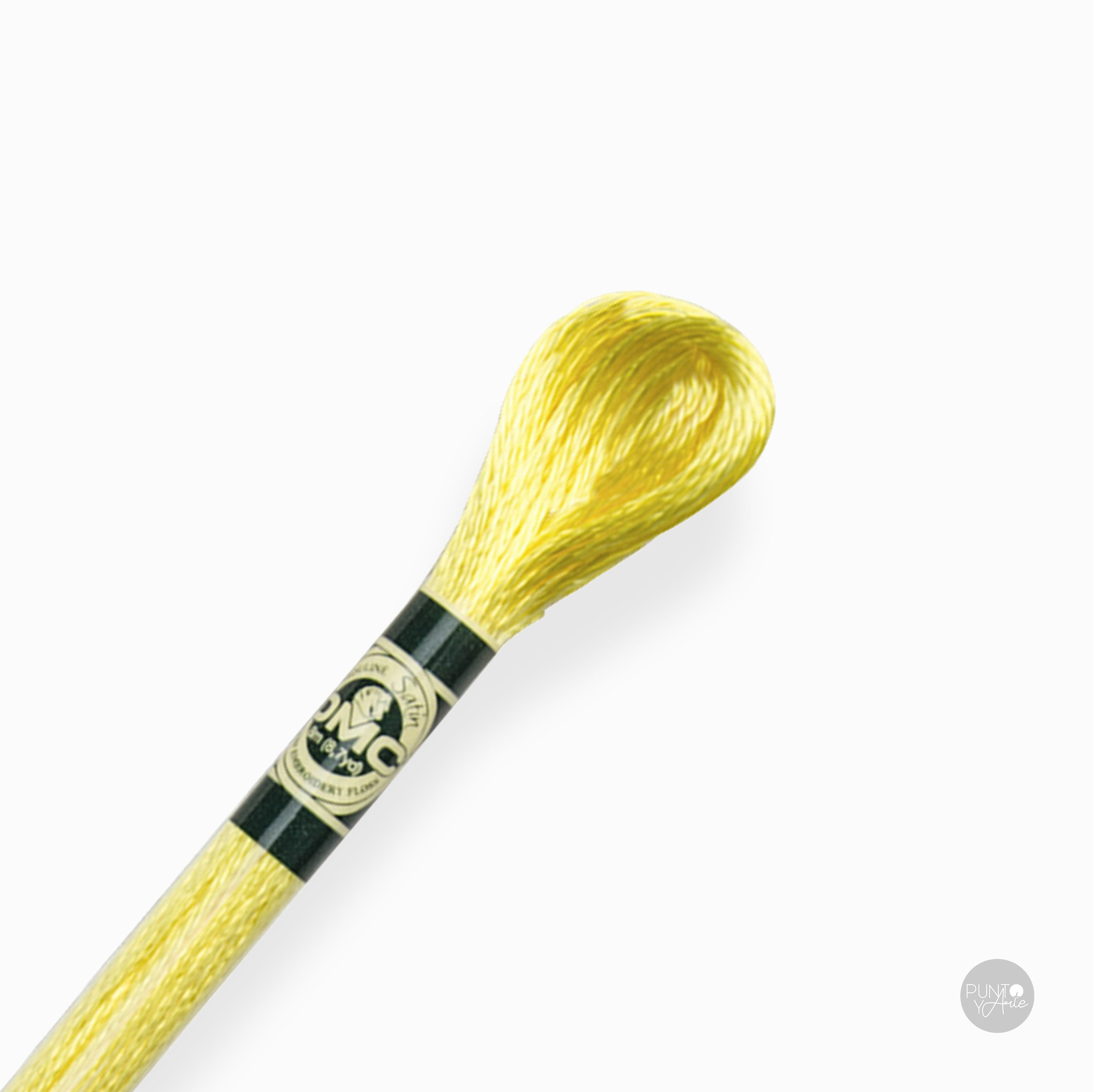 S307 DMC Satin Embroidery Thread