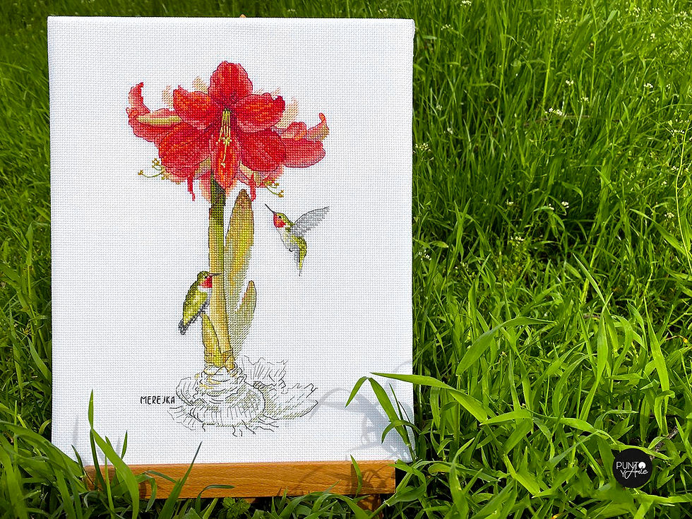 Amarilis - Merejka - Kit de punto de cruz