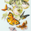 Miniature : 130-052 Mariposas y Manzanas. Kit de Punto de Cruz Magic Needle