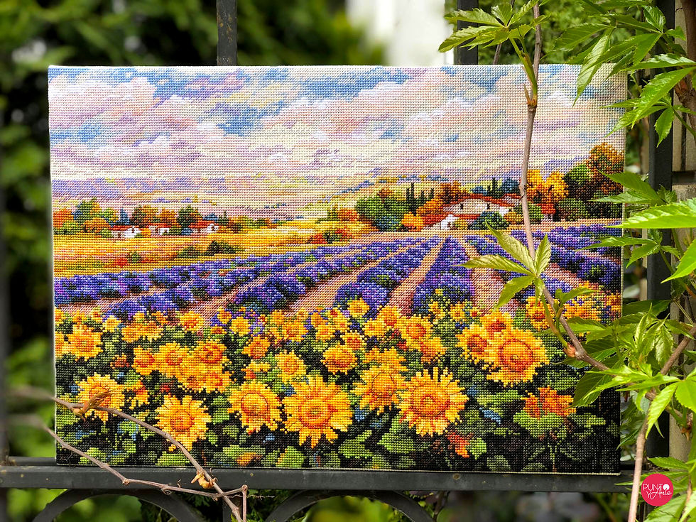 K-179 Campos de Lavanda y Girasoles - Merejka - Kit de punto de cruz