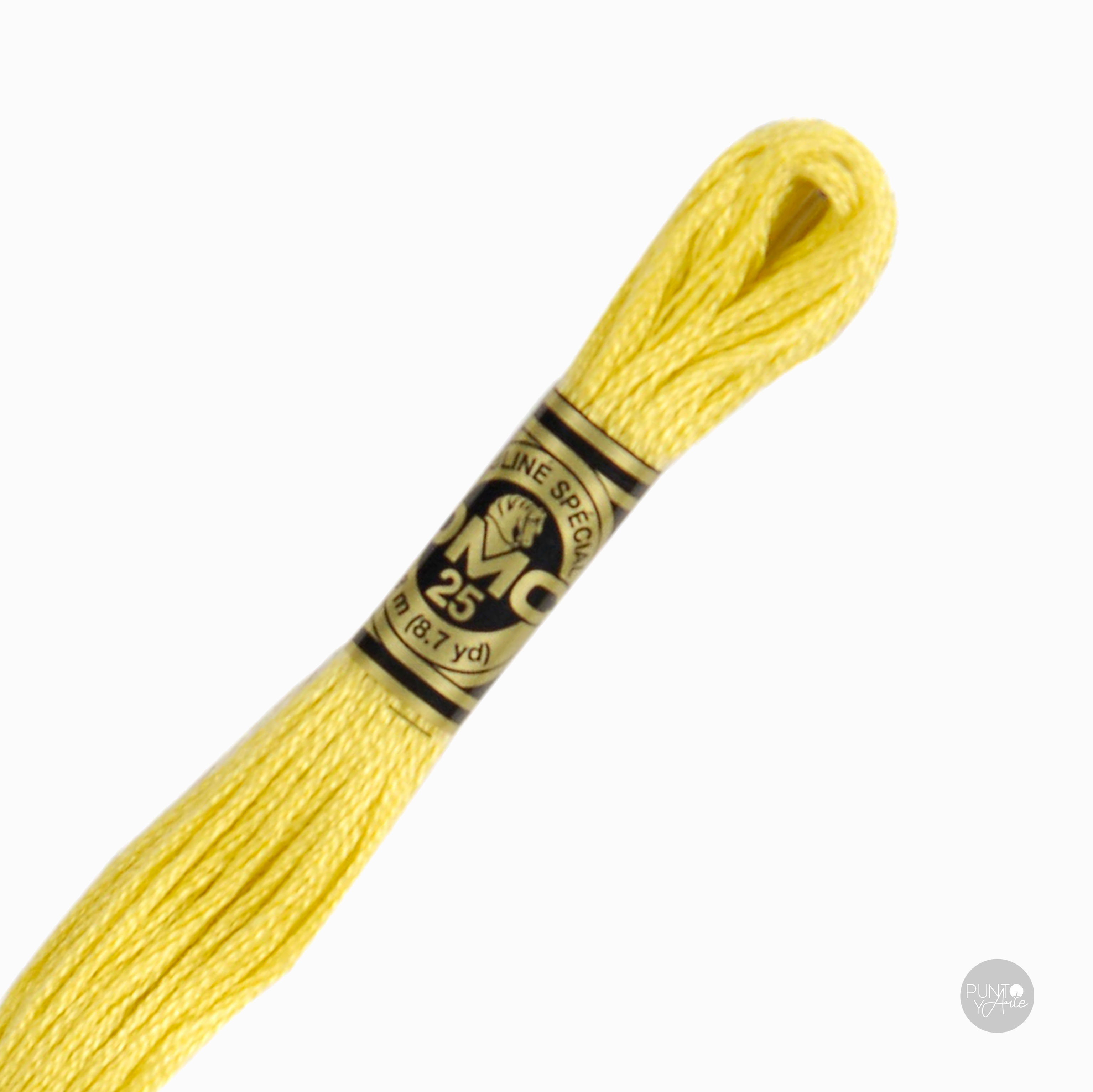 17 DMC Mouliné 117MC