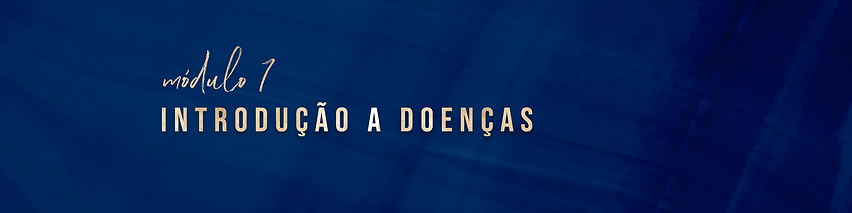BANNER MOD 07.png