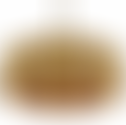 Lighting, Furniture & Accessories 