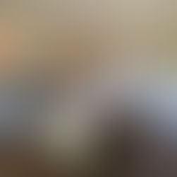 The French Connection 