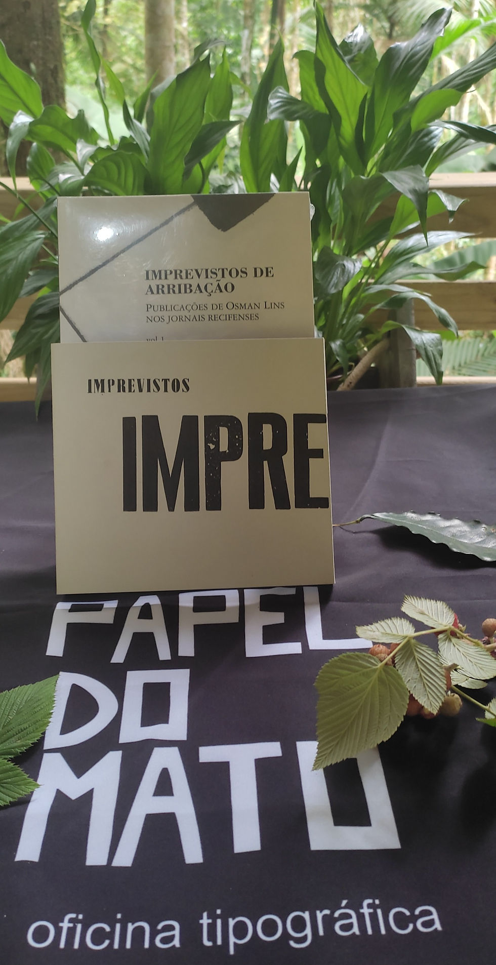 Miniatura: Imprevistos de arribação - Osman Lins