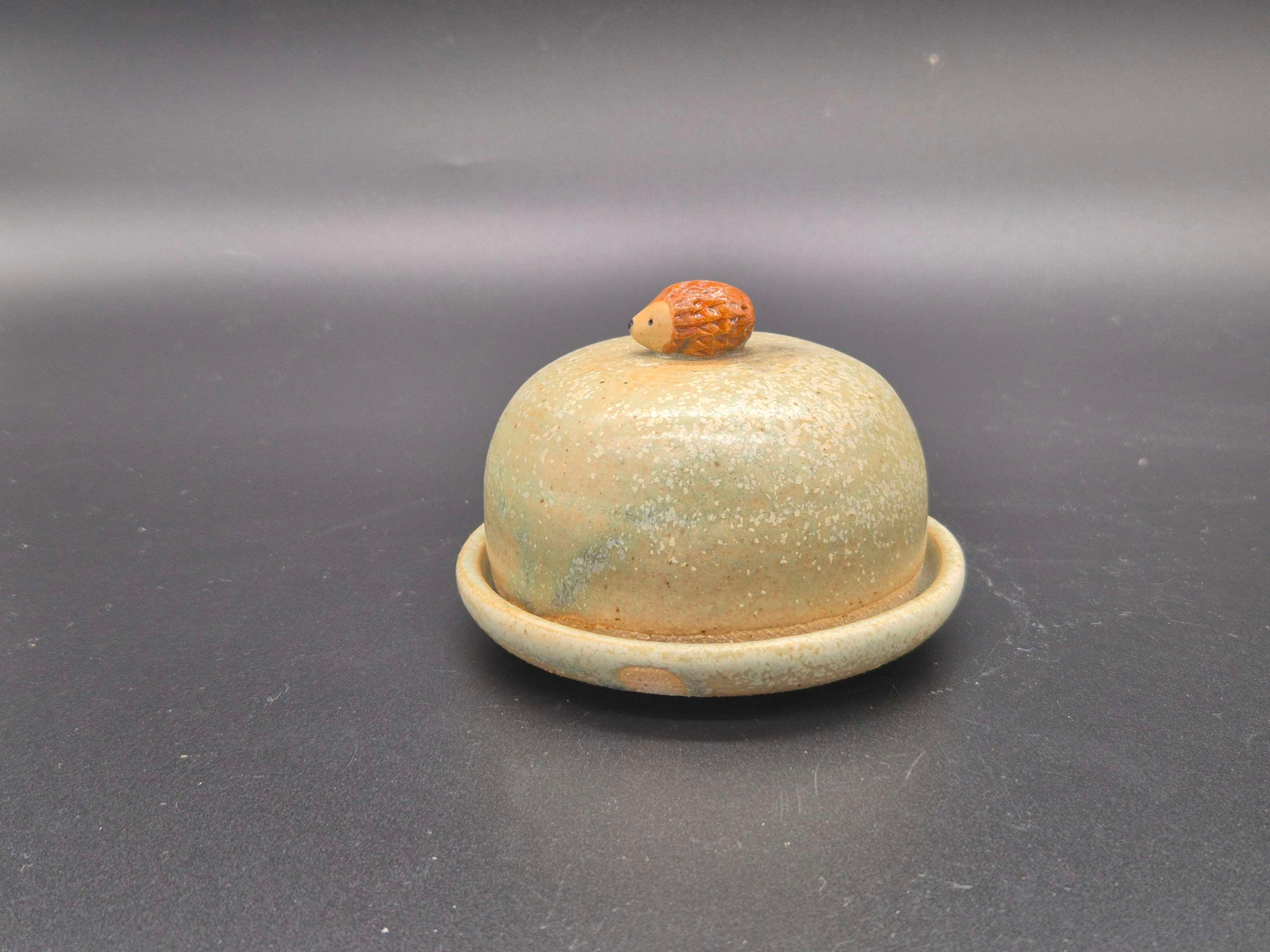 Hedgehog mini dome in variegated green