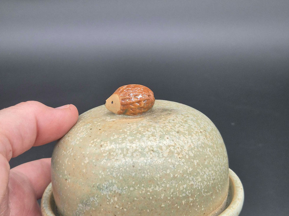 Thumbnail: Hedgehog mini dome in variegated green