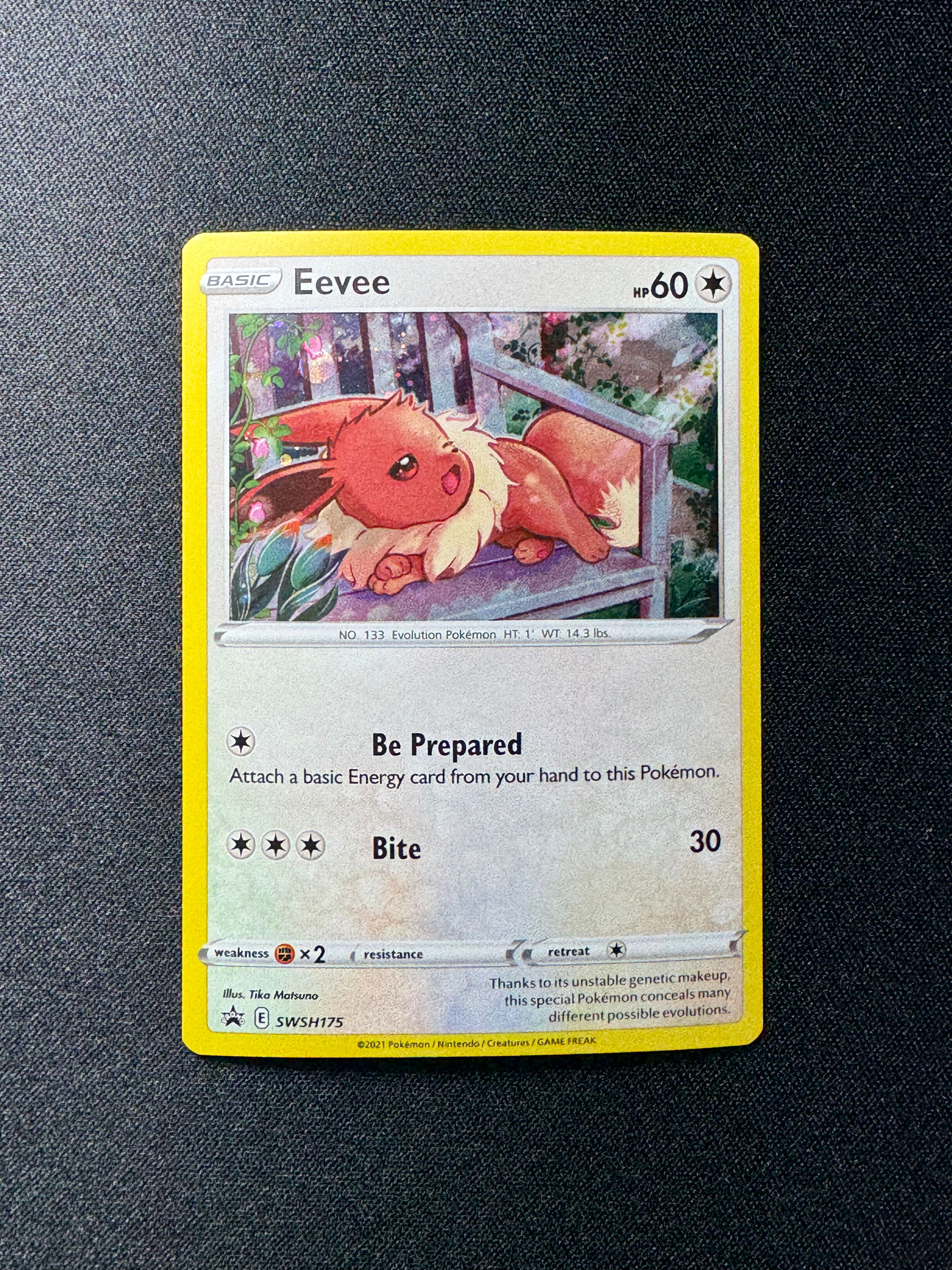 Eevee SWSH175 Pokémon Sword & Shield Promo