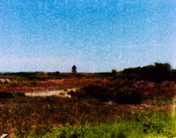 L45.jpg