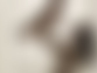 Healing After Birth: A Journey For Mom