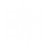 FOLArtboard 11 copy 3_3x.png