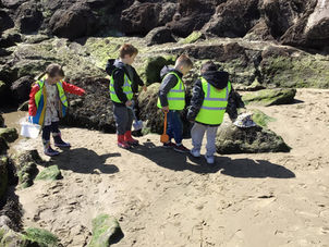 Ducklings’ Trip to Beach School