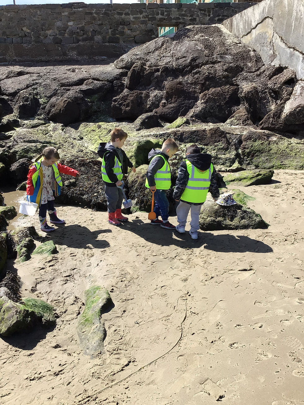 Ducklings’ Trip to Beach School