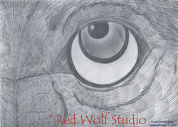 Moon's Eye