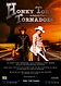 Honky tonk tornadoes poster.jpeg