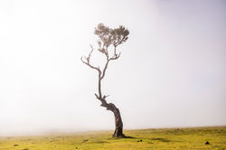 AF__5009_©AndreFerreira